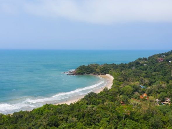 Imagem - 3 praias incríveis para conhecer em Ubatuba