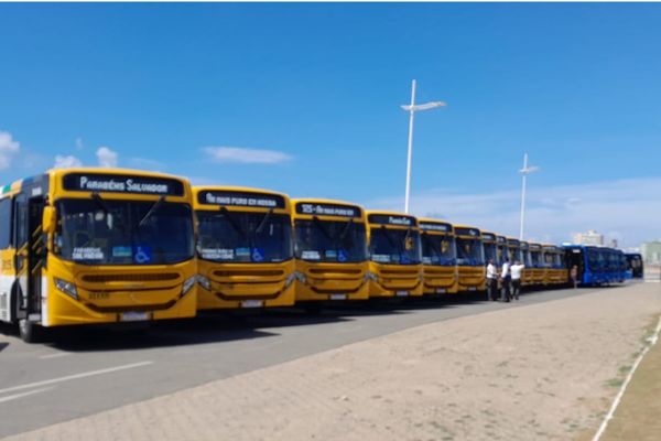 Novos ônibus refrigerados