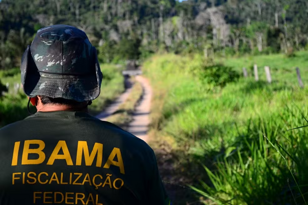 oportunidades são para os cargos de analista administrativo e de analista ambiental.