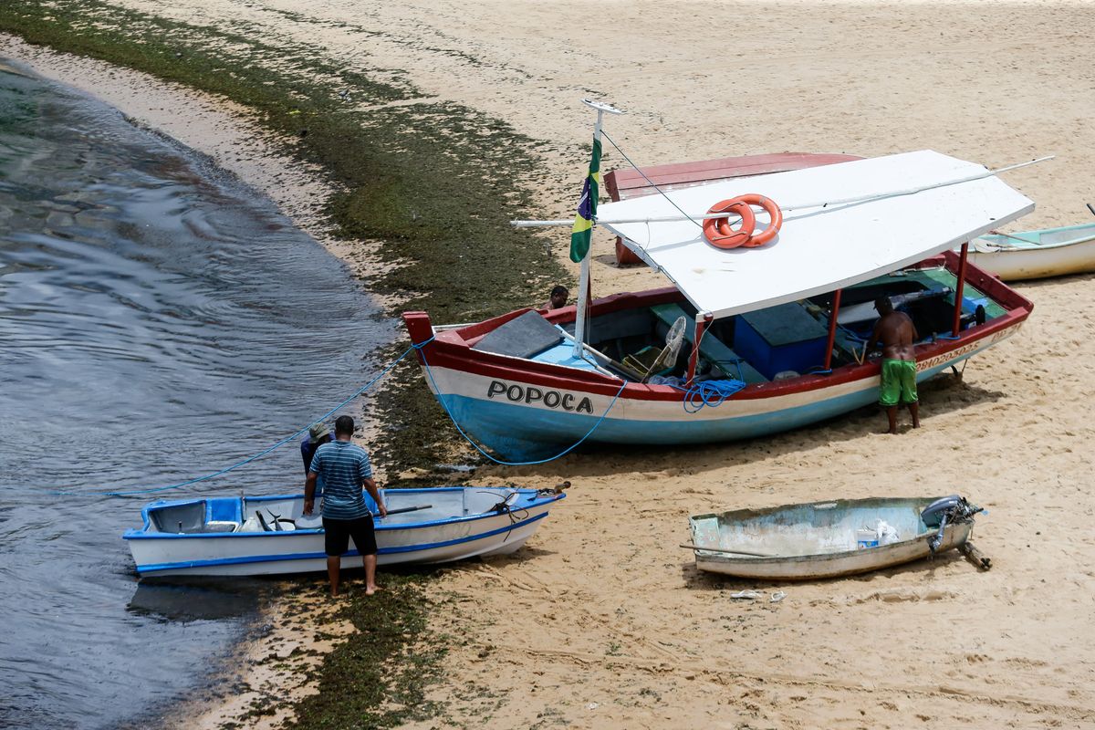 Maioria dos pescadores deixa valor a critério do cliente