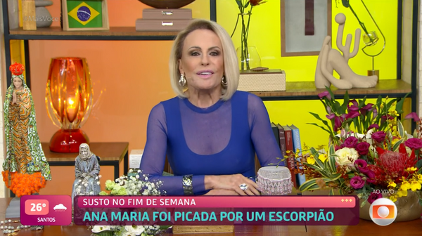 Ana Maria Braga