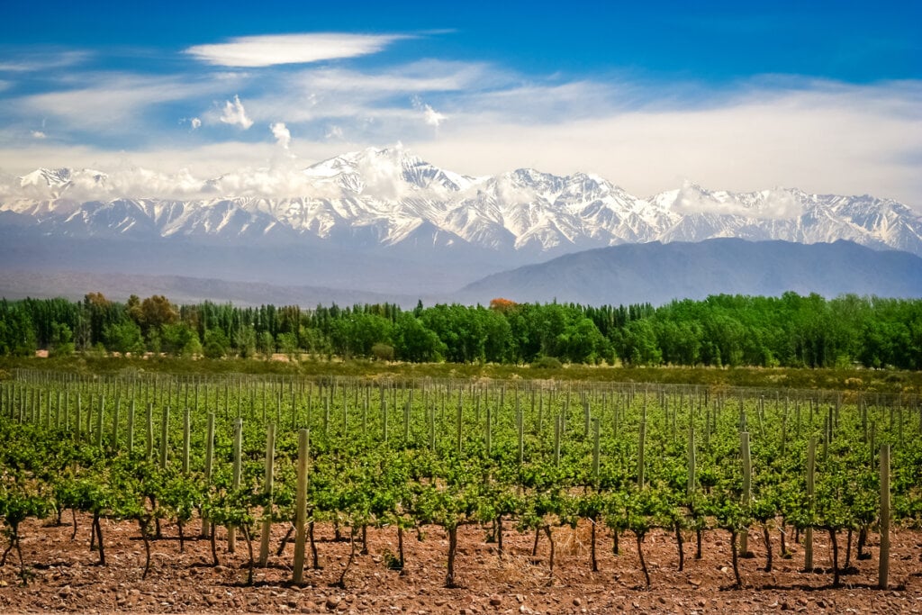 Mendoza leva a fama de produzir o melhor Malbec do mundo (Imagem: Hernan E. Schmidt | Shutterstock)