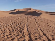 Imagem - Temperatura da Terra supera “limite seguro” e tem janeiro mais quente da história