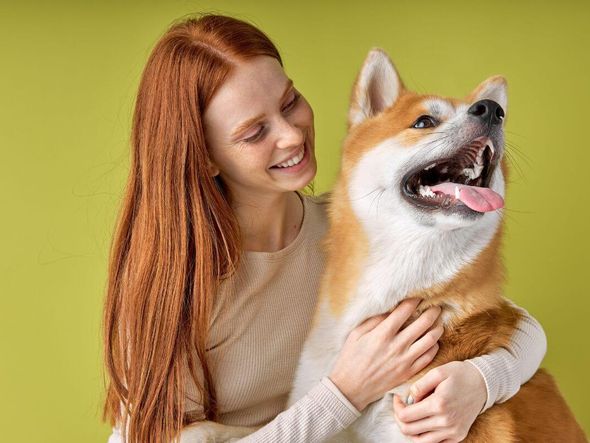 Imagem - 7 semelhanças entre humanos e cachorros 