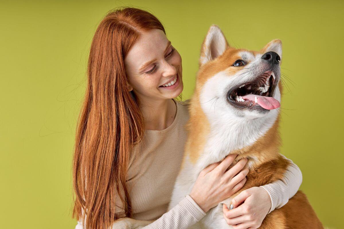 Vínculo profundo entre humanos e cachorros cria semelhanças entre eles (Imagem: Roman Chazov | Shutterstock) 