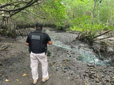 Imagem - Polícia deflagra operação contra o tráfico de drogas no sul da Bahia