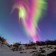 Imagem - Aurora boreal em forma de beija-flor é a imagem do dia da Nasa; veja foto