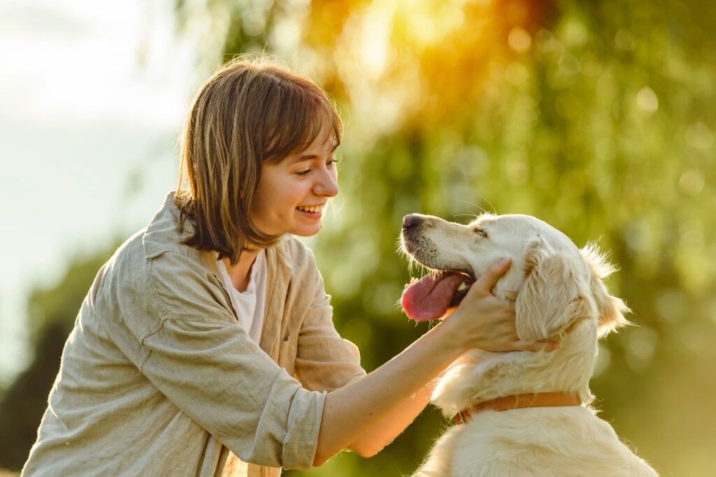 Conferir a temperatura dos animais de estimação é fundamental para ajudar a garantir o conforto térmico (Imagem: Lopolo | Shutterstock) 