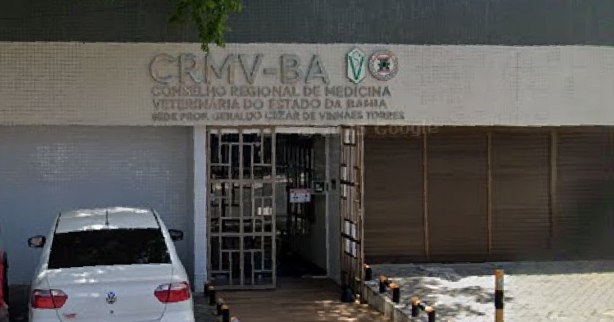 Imagem - CRMV abre concurso com salários iniciais de R$ 8 mil na Bahia; veja como participar