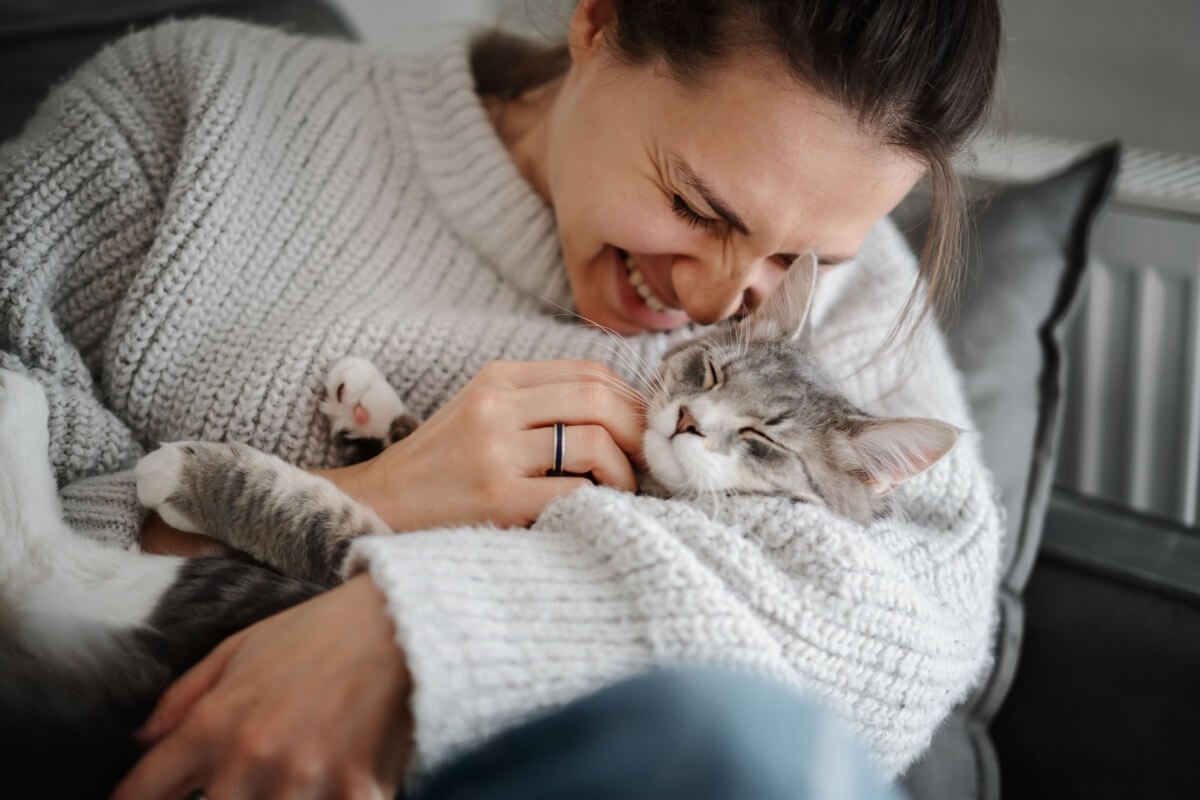 A esporotricose felina é uma doença que exige atenção (Imagem: Olezzo | Shutterstock)