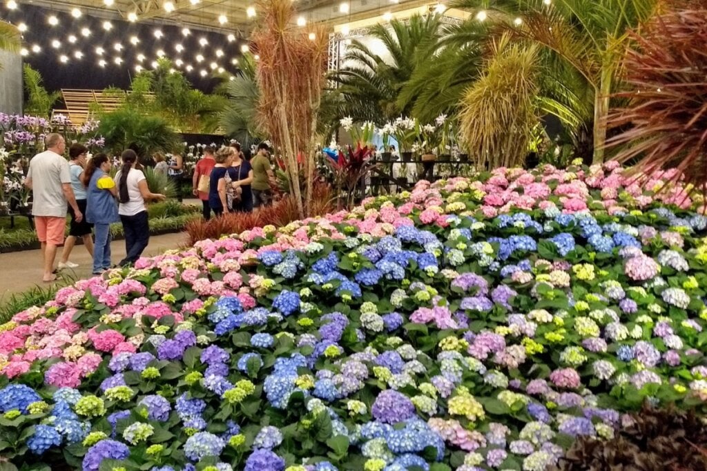 A Festa das Flores é realizada anualmente em novembro (Imagem: Sieghard M. Ennulat | Shutterstock) por Imagem: Sieghard M. Ennulat | Shutterstock