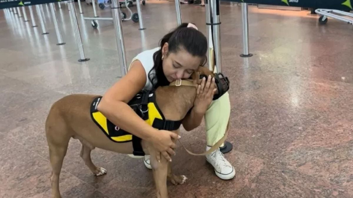 Tutora foi impedida de viajar com o cachorro