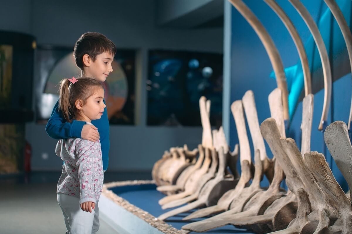 Os museus oferecem experiências que podem abarcar diversas áreas do conhecimento (Imagem: David Tadevosian | Shutterstock)