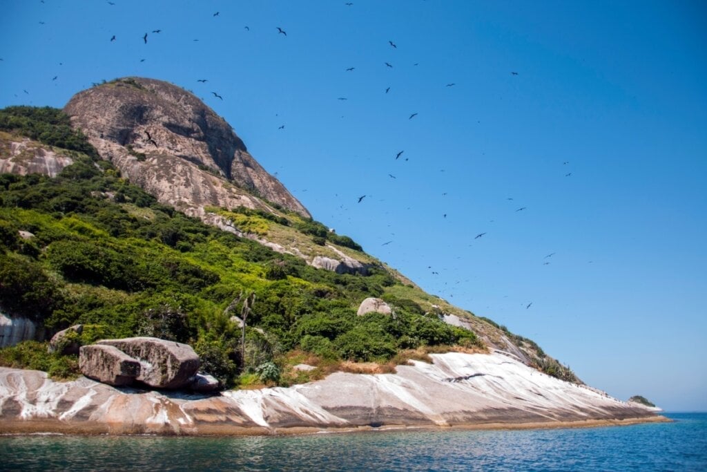 Alcatrazes tem mar cristalino e é habitado por mais de 1.300 espécies diferentes (Imagem: Leandro Inoe Coelho | Shutterstock)