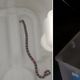 Imagem - Seis cobras são capturadas em um único dia em diferentes bairros de Salvador