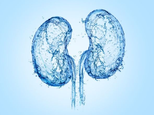 Imagem - Transplantes renais crescem na Bahia e estado lidera atendimentos no Nordeste