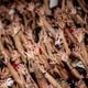 Imagem - Saiba onde assistir ao jogo do Vitória pela Copa do Brasil