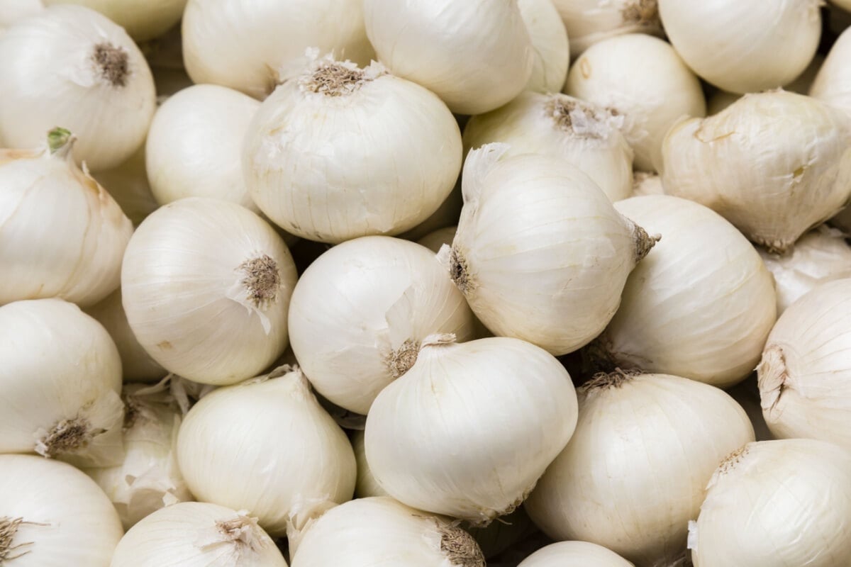 A cebola é um ingrediente versátil na cozinha (Imagem: Cornelia Pithart | Shutterstock) 