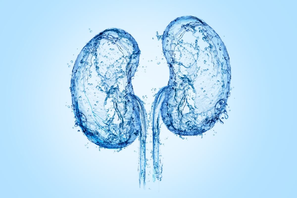 O câncer renal é uma doença que merece atenção (Imagem: SP Creative Studio | Shutterstock) por Imagem: SP Creative Studio | Shutterstock