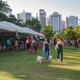 Imagem - Parque da Cidade recebe nova edição da Feira Vegana Salvador neste final de semana