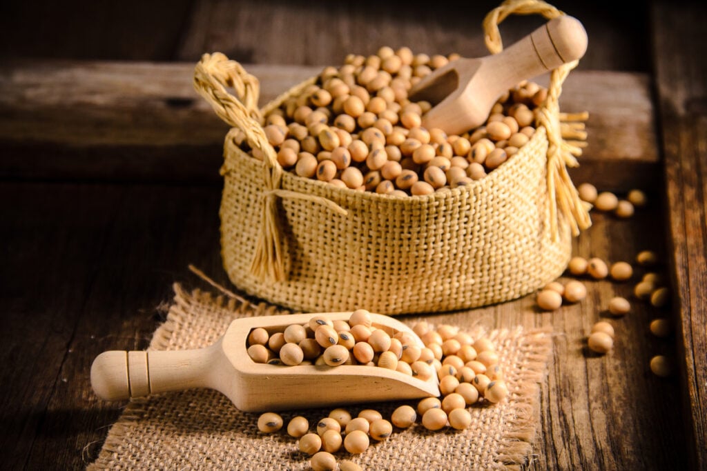 A soja contém nutrientes benéficos que podem auxiliar na saúde pancreática e metabólica (Imagem: Anda Audy | Shutterstock)