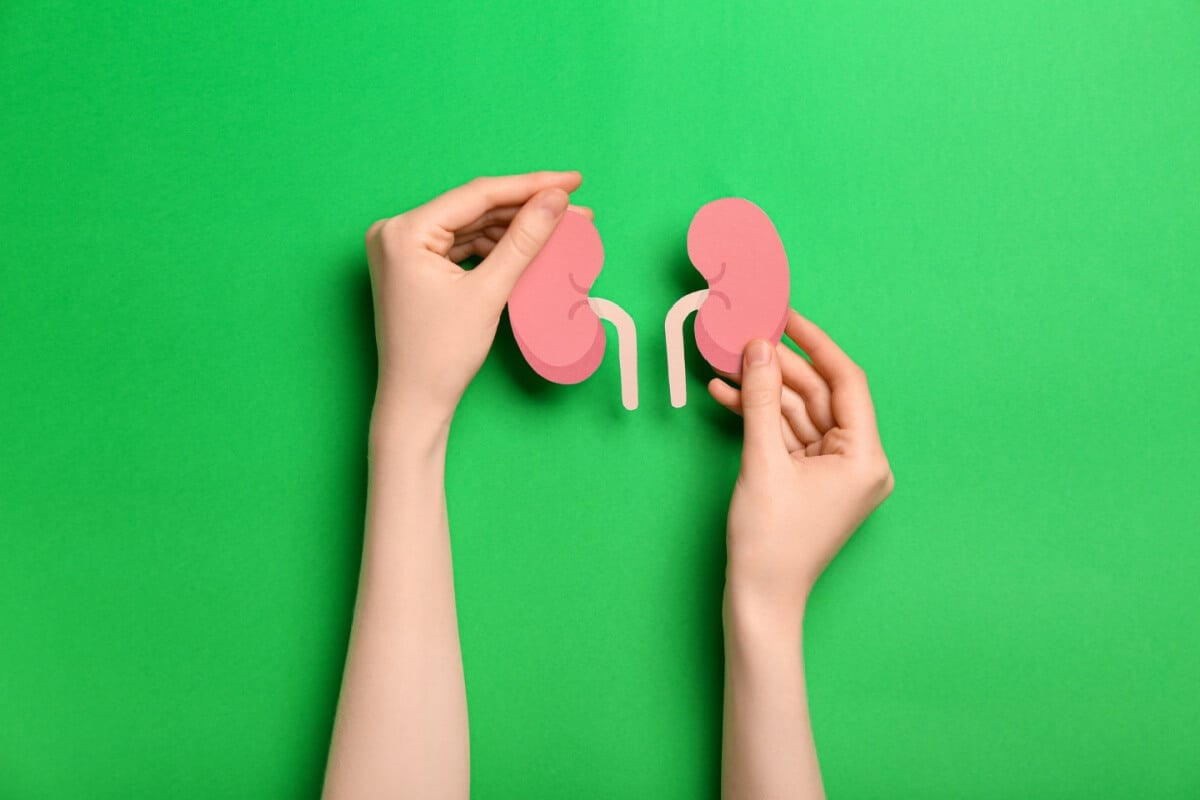 Hábitos ao longo da vida impactam a saúde renal (Imagem: Pixel-Shot | Shutterstock)