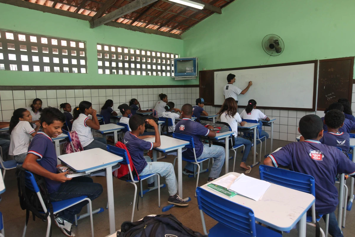 Professor no Colégio Estadual Padre Palmeira  Mussurunga I