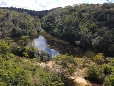 Imagem - Indígenas ocupam Parque Nacional do Descobrimento, e visitação é suspensa