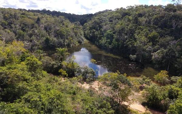 Parque Nacional do Descobrimento foi criado em 1999