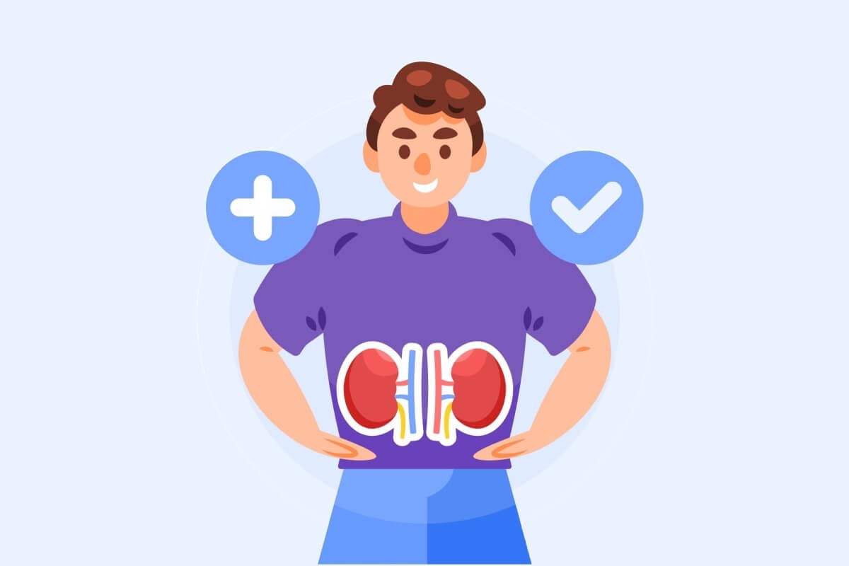 Os rins têm um papel essencial na filtragem do sangue e na eliminação de toxinas do organismo (Imagem: paper cut design | Shutterstock)