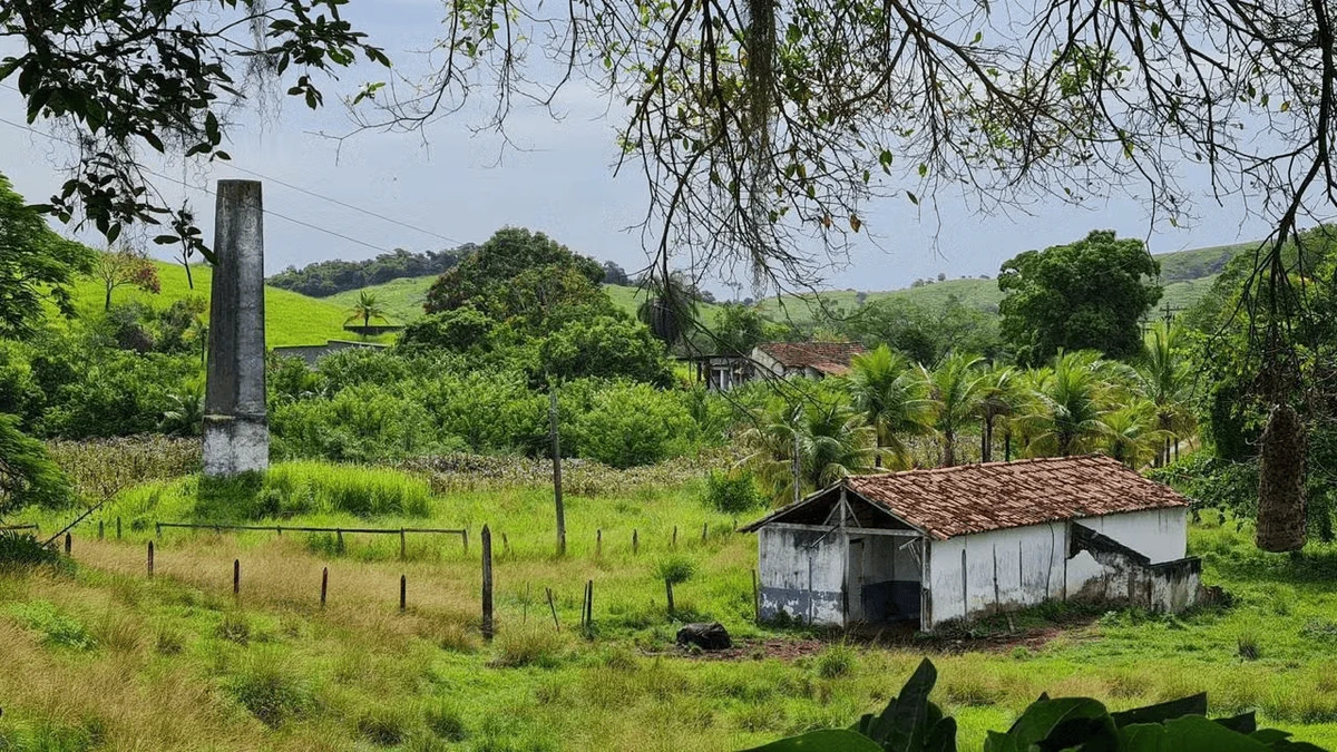 Fazenda de Egídio em 'Renascer' 