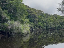 Imagem - Prática sustentável ajuda a preservar mais de 1,7 mil nascentes na Bahia