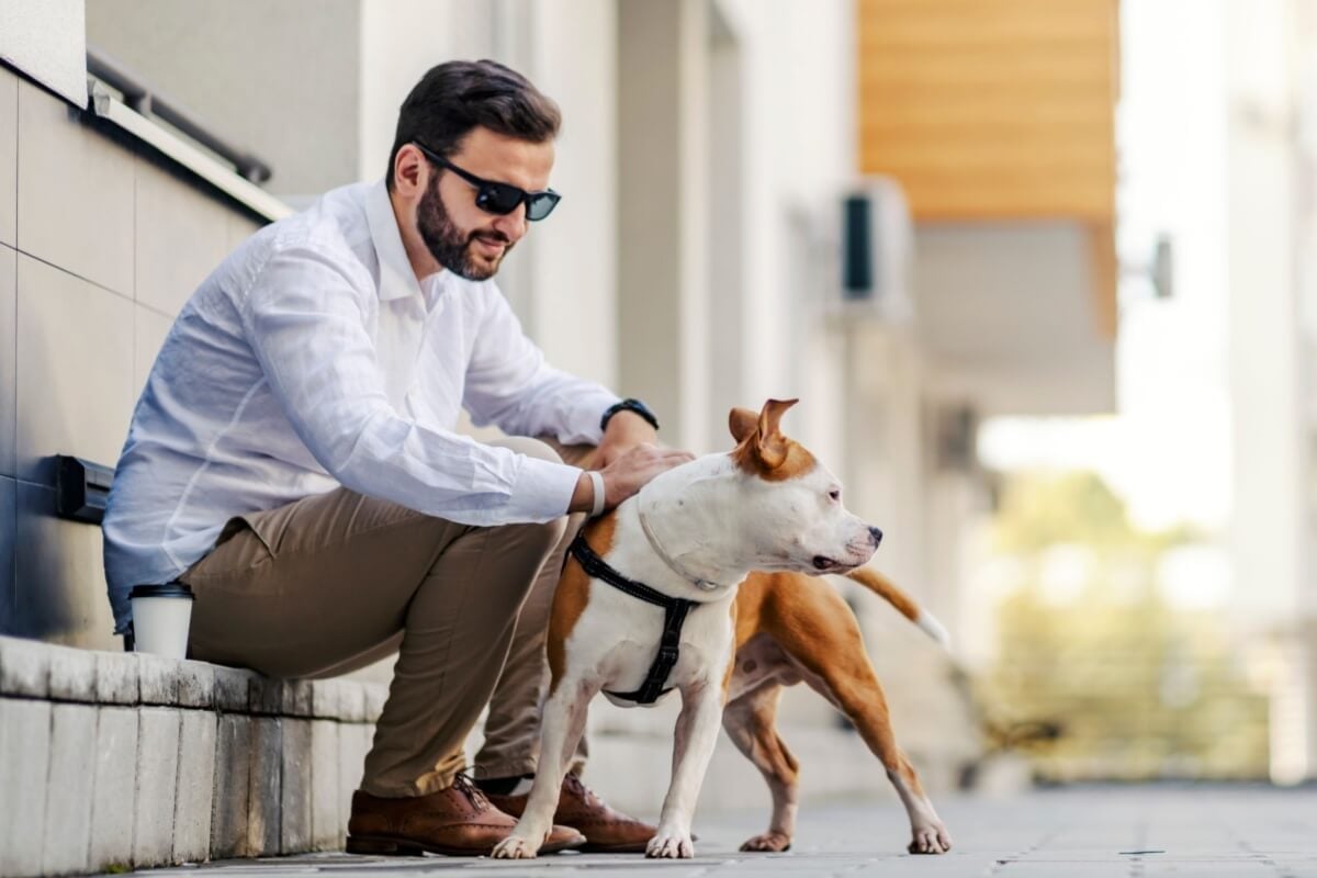 A crescente presença de pets nos lares brasileiros aumenta a procura por apartamentos pet friendly (Imagem: Dusan Petkovic | Shutterstock) 