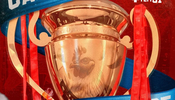 Bahia postou arte com galinha na taça do Baianão e penas ao redor