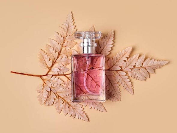Imagem - 5 dicas para escolher o perfume ideal para o outono