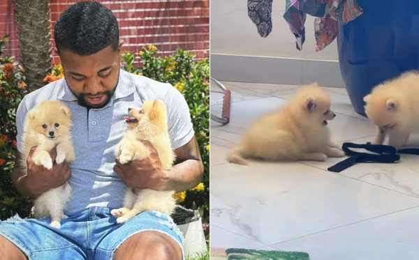 Davi Brito decidiu aumentar a família