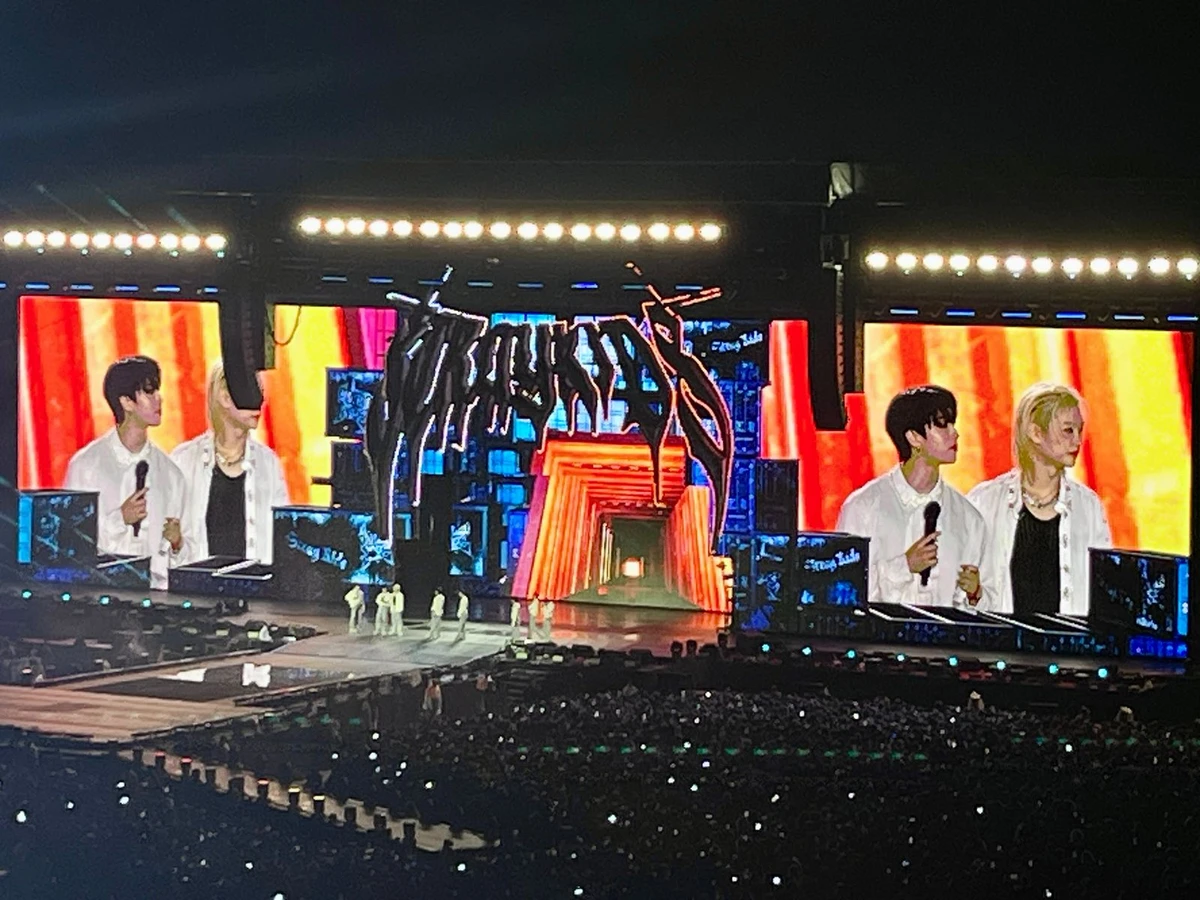 stray kids