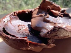 Imagem - Ovo de Páscoa maromba: veja receita simples de fazer usando whey protein