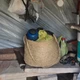 Imagem - Mais de 90 trabalhadores são resgatados de trabalho análogo à escravidão na Bahia