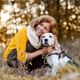 Imagem - 10 cuidados com os cachorros idosos durante os passeios