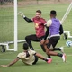 Imagem - Após folga, Vitória se reapresenta no Barradão de olho no Ceará