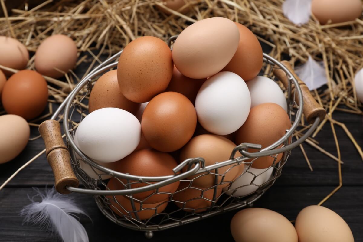 Os ovos se destacam pela combinação de praticidade e valor nutricional (Imagem: New Africa | Shutterstock)