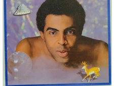 Imagem - O que tem em comum Lady Gaga, os gays, Gilberto Gil, o animal Veado e Waly Salomão?
