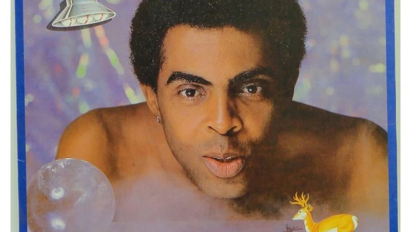 Imagem - O que tem em comum Lady Gaga, os gays, Gilberto Gil, o animal Veado e Waly Salomão?