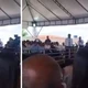 Imagem - 'Leva tudo pra vala', sugere Jerônimo sobre eleitores de Bolsonaro