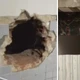 Imagem - Criminosos invadem imóvel e furtam R$ 100 mil de casa lotérica na Bahia