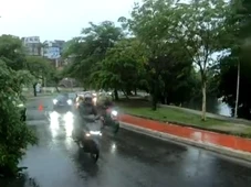 Imagem - Árvore cai na pista e provoca lentidão no Dique do Tororó