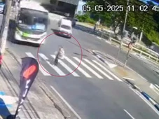 Imagem - Idosa de 91 anos é atingida por ônibus enquanto atravessava rua na faixa de pedestre