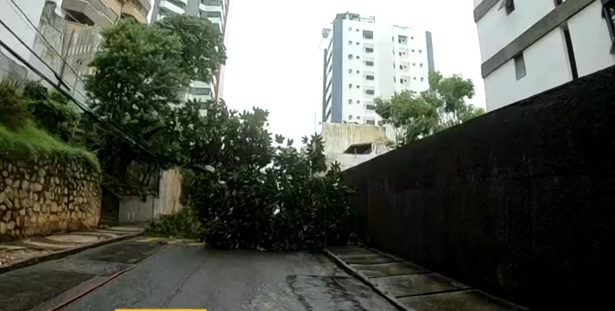 Rua bloqueada no Caminho das Árvores