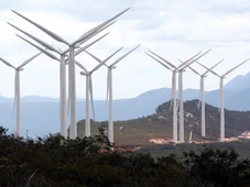 Imagem - Energia produzida no Nordeste está sendo desperdiçada por falta de linhas de transmissão